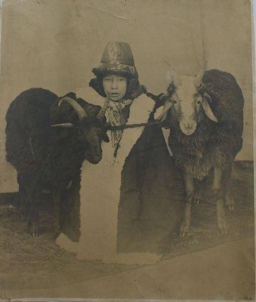 Мальчик с баранами, фотография