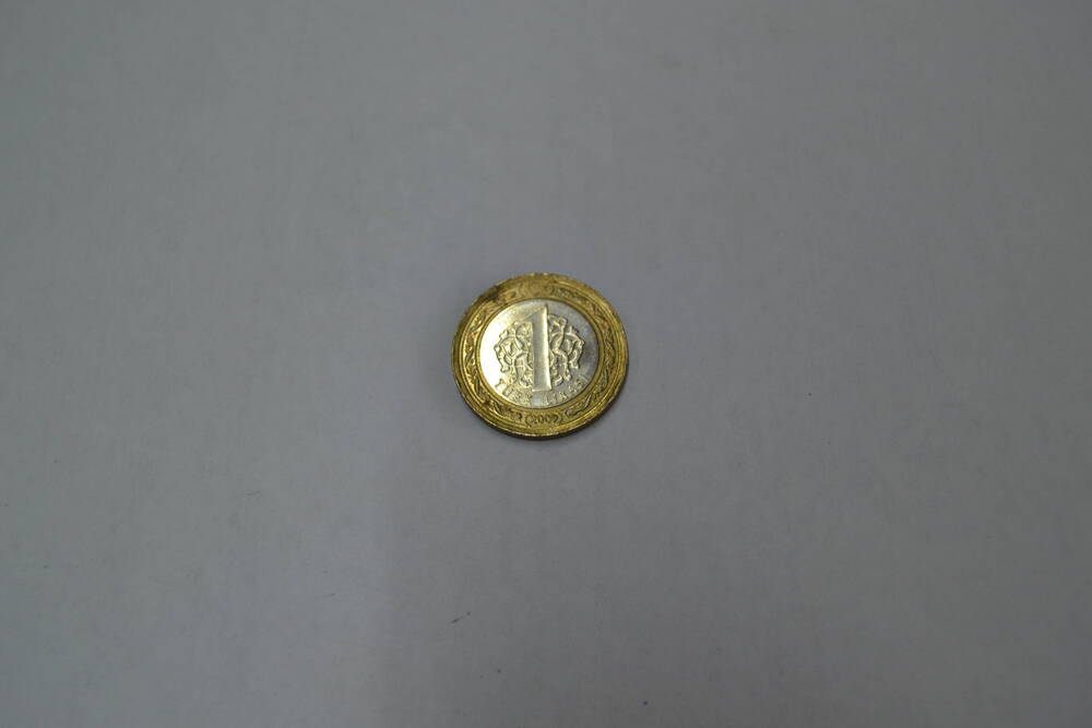 Монета Турции 1 лира 2009 года