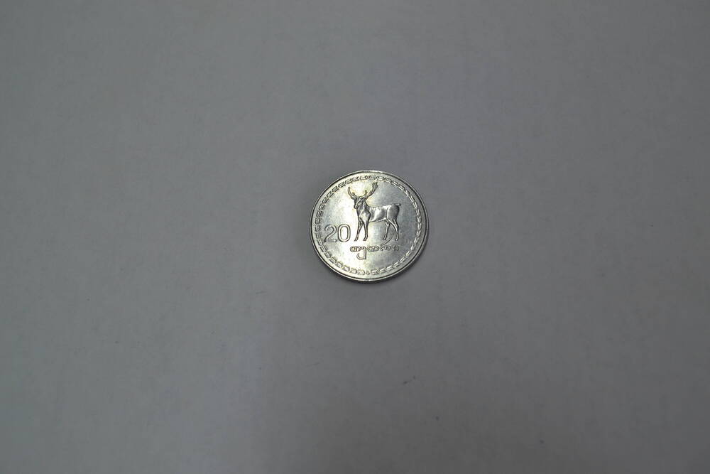 Монета Грузии 20 тетри 1993 года