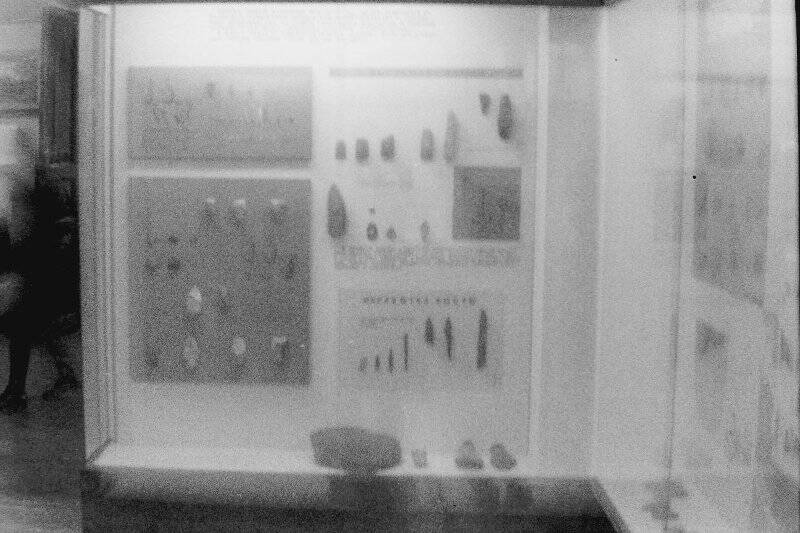 Негатив. По Вологодскому музею. Отдел промышленности. Великой отечественной войны. Природы.