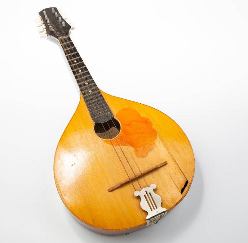 Мандолина - струнный музыкальный инструмент.