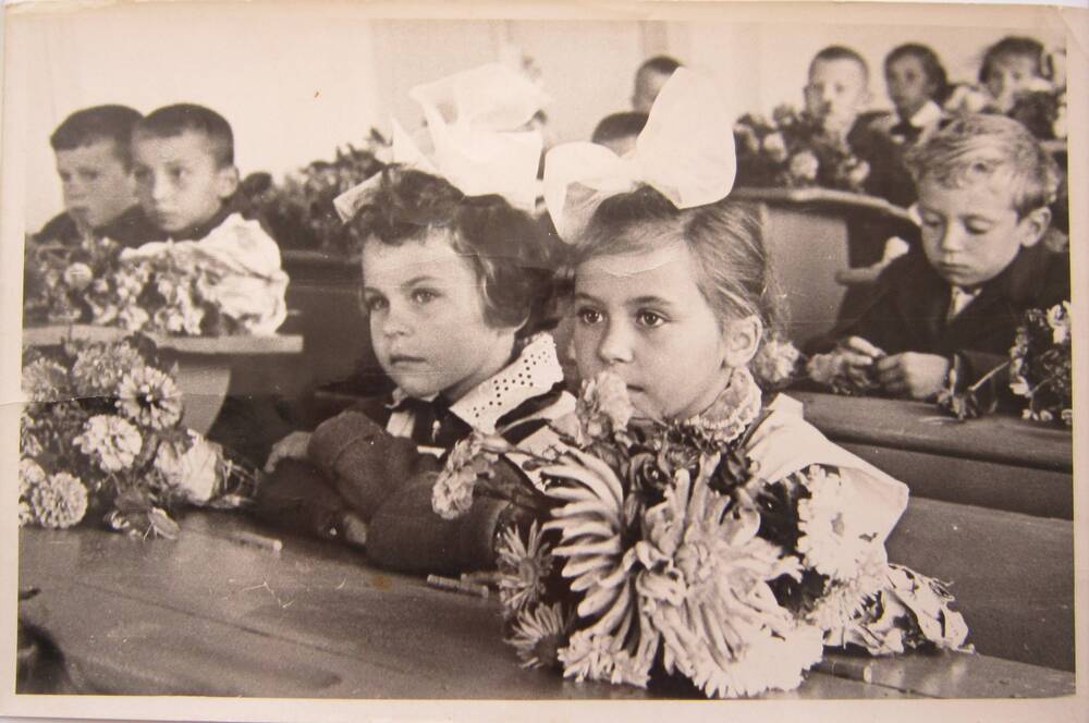 Фотоснимок. На фото первоклассники за партами 1 сентября. У всех детей на партах букеты цветов. 66-й год, СССР.
Коллекция фотографий 40-50-х годов, собранная 
Березнёвой М. А.