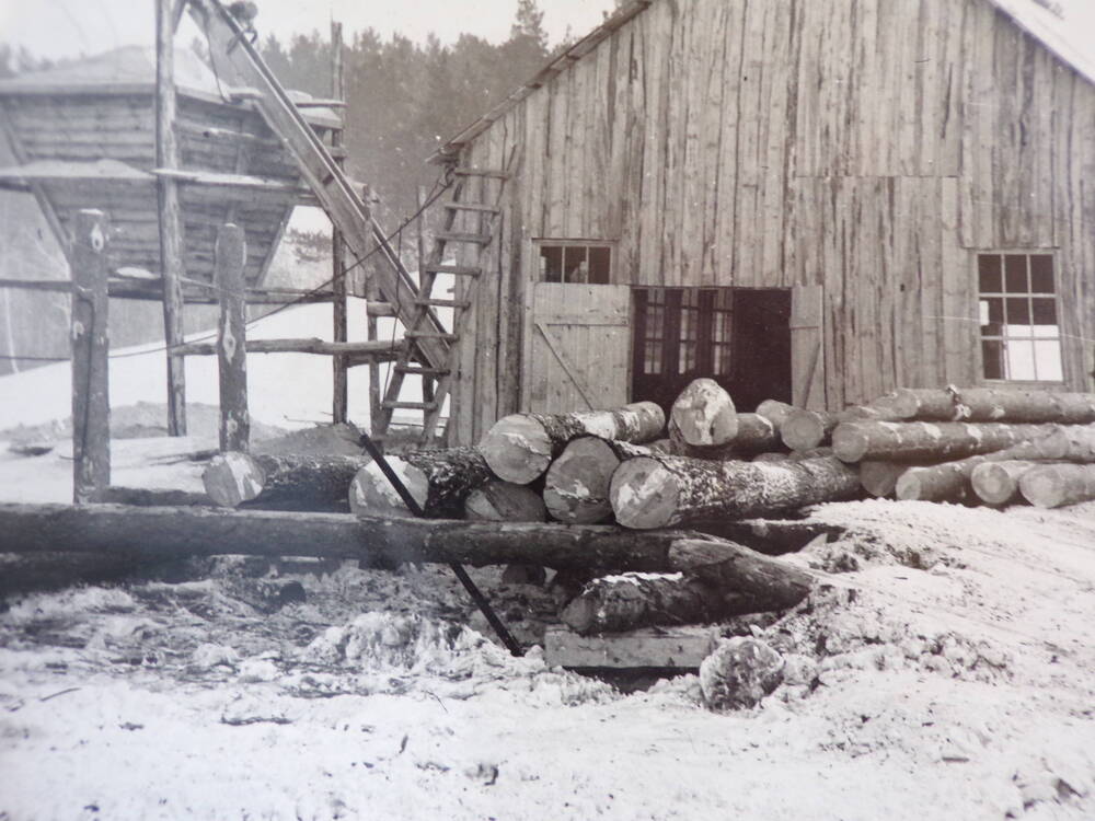 Фотография. Ярковское лесничество,1968г.