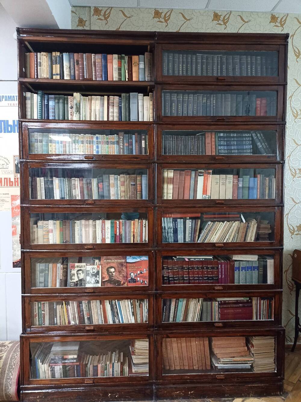 Книжный шкаф с книгами Д.Н. Медведева