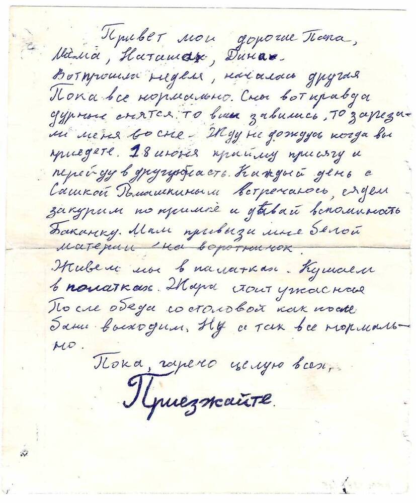 Письмо Фурдуй Е. своему отцу Леониду Васильевичу