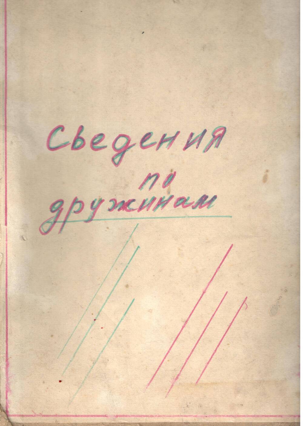 Паспорта  пионерских дружин Сергачского района 1978-1980 гг