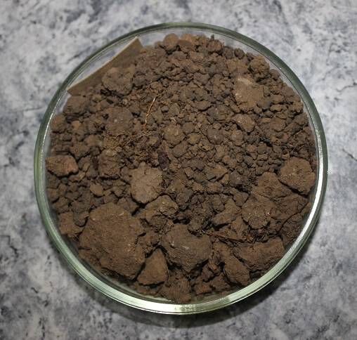 Серая лесная почва (А1 А2)