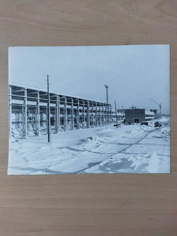 Строительство шинного завода. 1970 г. Фотография
