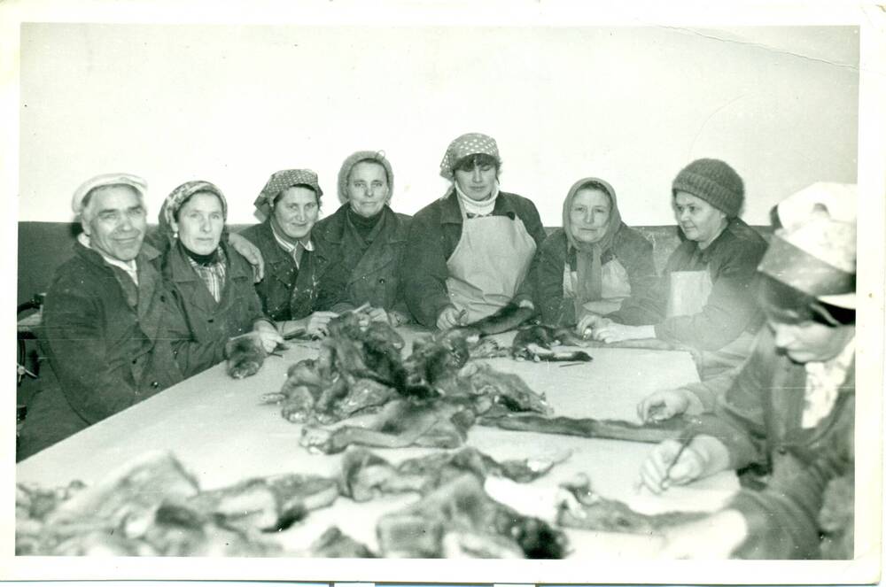 Фотография чёрно-белая: групповой снимок,бригада по обработке шкурок норки зверопромхоза Маяк.