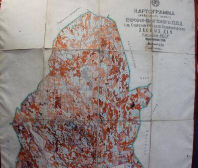 Картограмма древесного запаса Верхне-Выгского ЛПХ