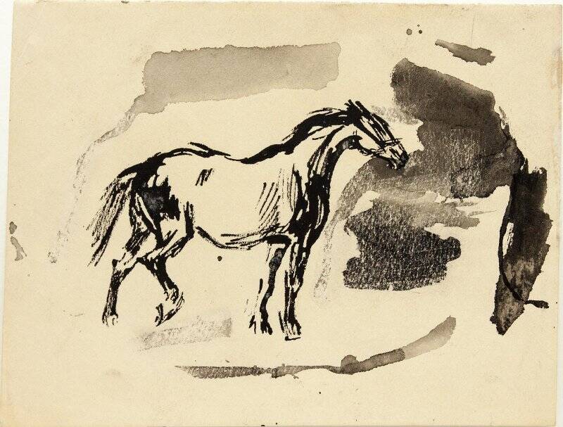 Рисунок. Лошадь.