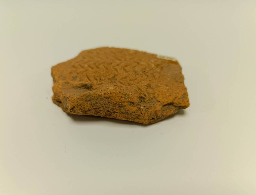 Предметы быта Новосвободненского поселения нач. III тыс. до н.э. эпоха ранней бронзы: осколки глиняной посуды
