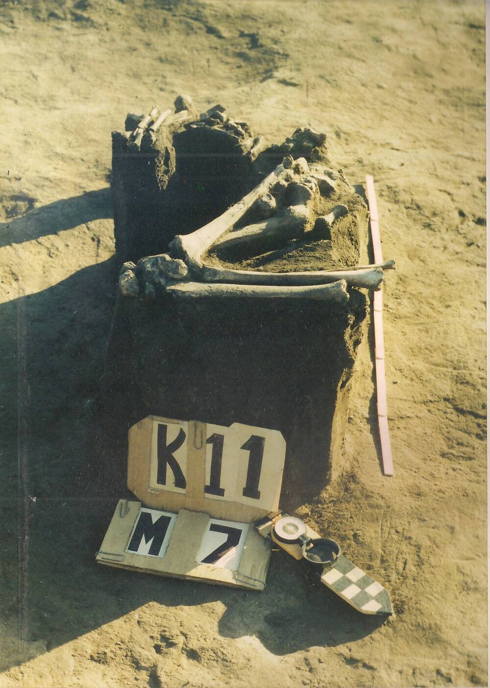 Фото: Вид на могилу № 7 Сапоговского кургана № 11