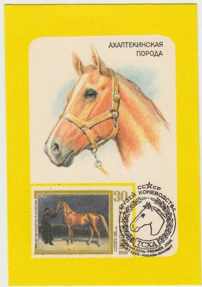 Календарь карманный на 1990 год. Ахалтекинская порода.