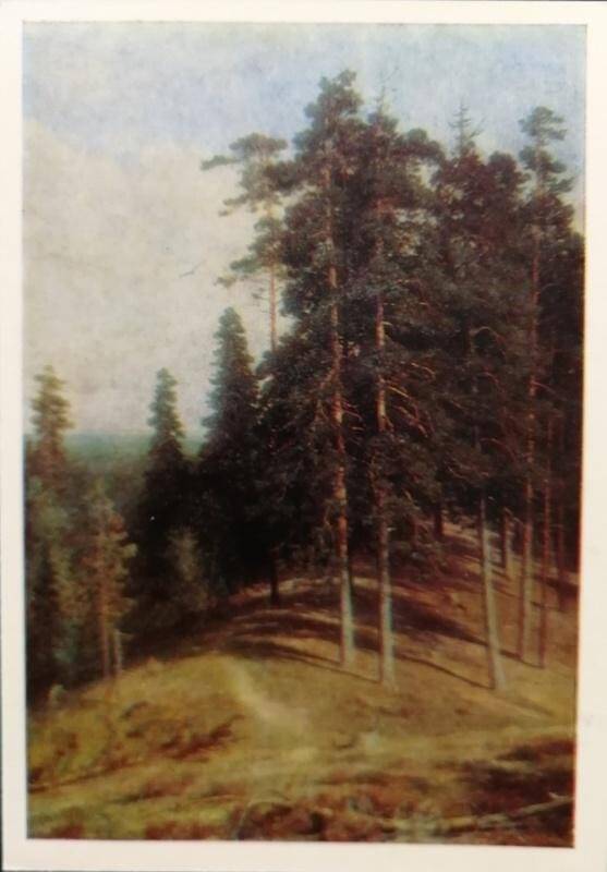 Открытка. Репродукция картины И.И. Шишкина. «Лес с горы»