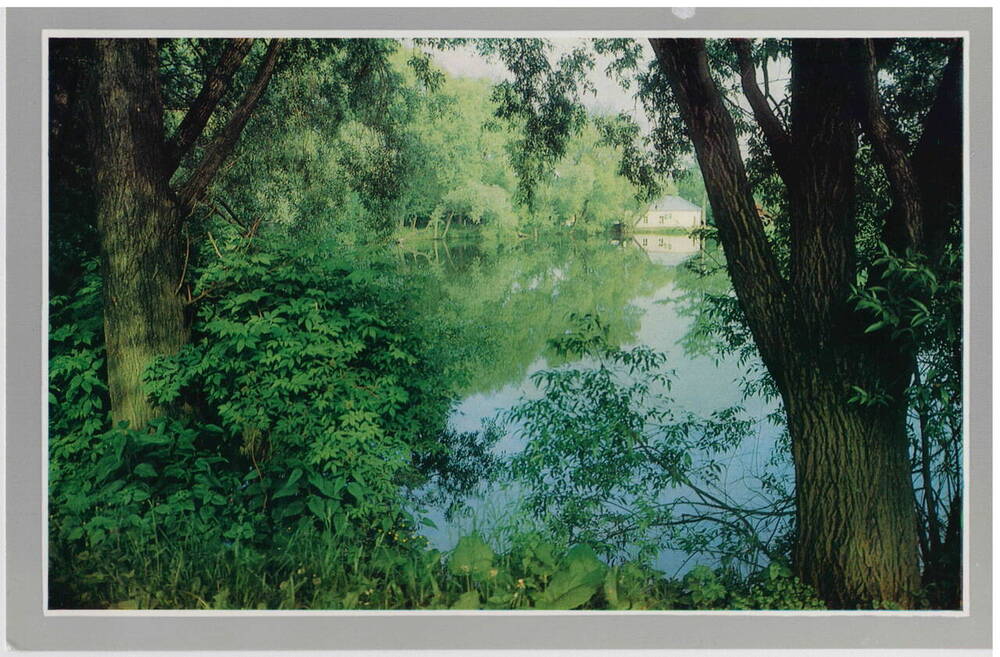 Открытка Большой пруд из набора открыток Ясная Поляна