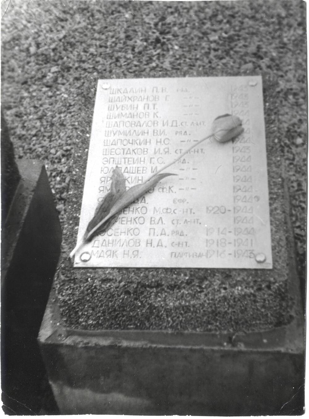 Фотография. Мемориальная плита на братской могиле в с. Дретунь Витебской области. 1987 г.
