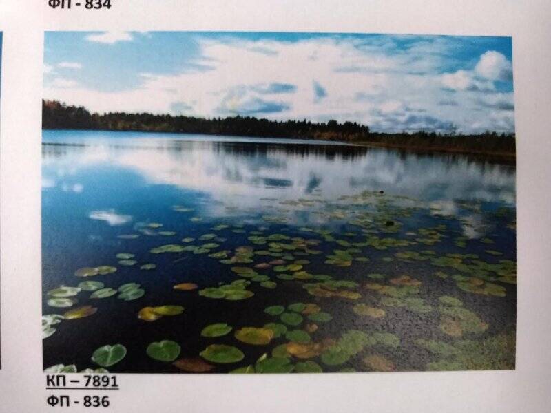 Изобразительный фотоматериал «Озеро «Жерново», Архангельская область»