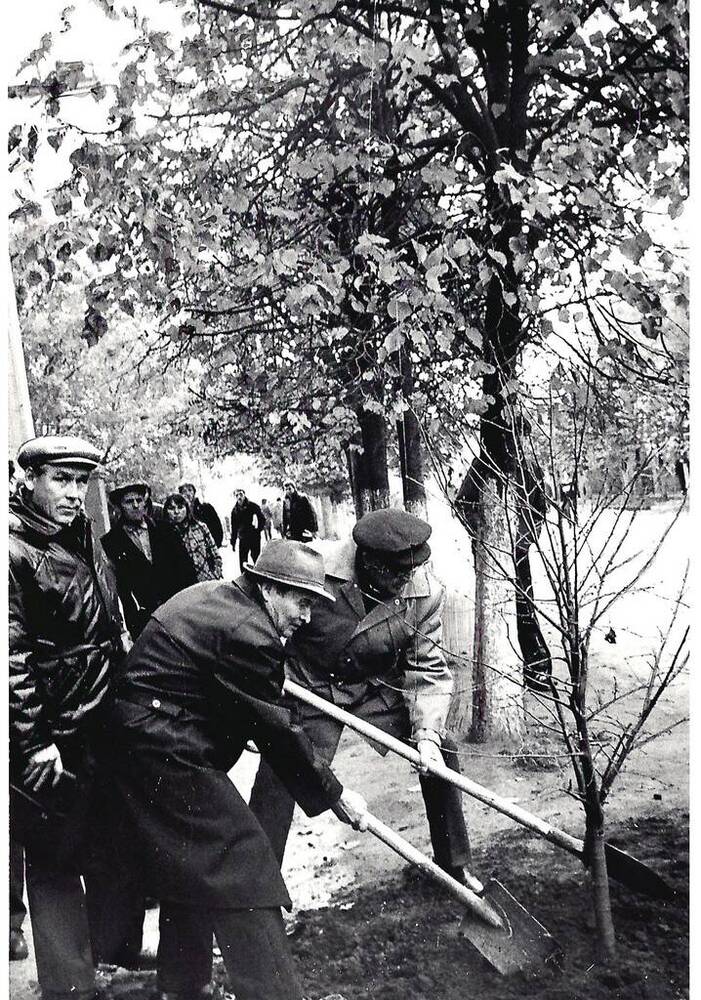 Фото. Чувашские писатели Д. Гордеев, Г. Харлампьевич, А. Эсхель сажают дерево в память о Николае Филипповиче Ильбекове.