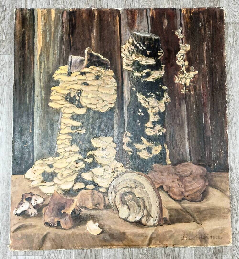 Картина Серебрякова Г.А. «Древесные грибы»