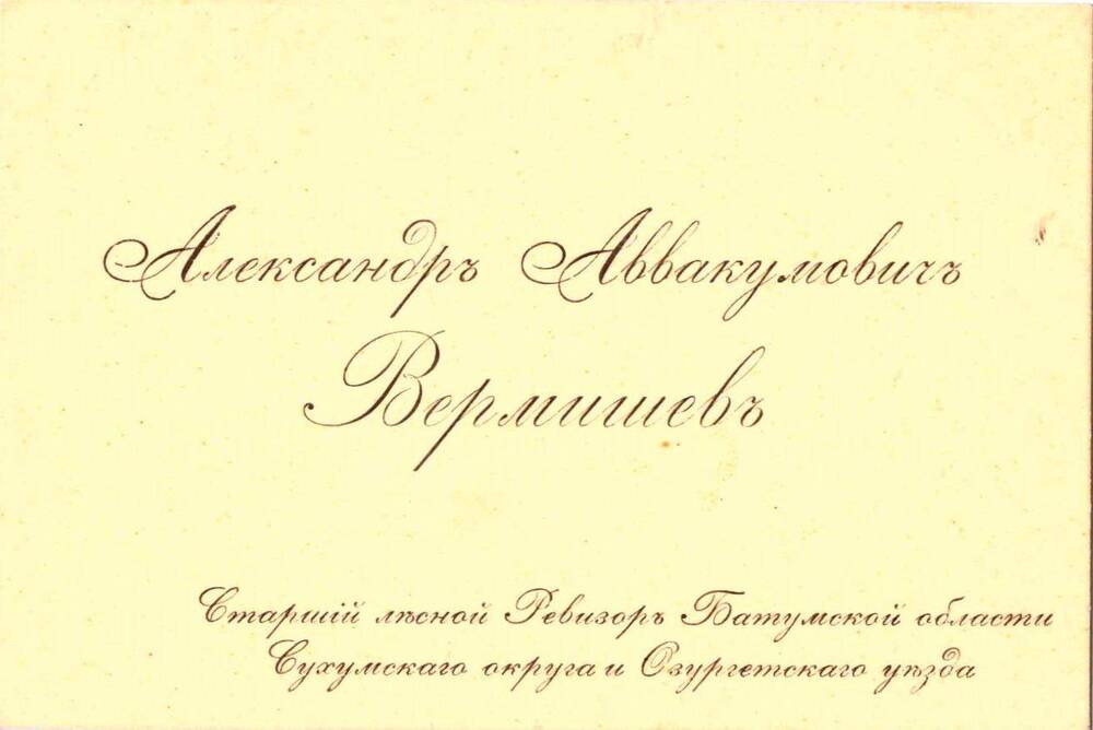 Визитная карточка Александра Аввакумовича Вермишева