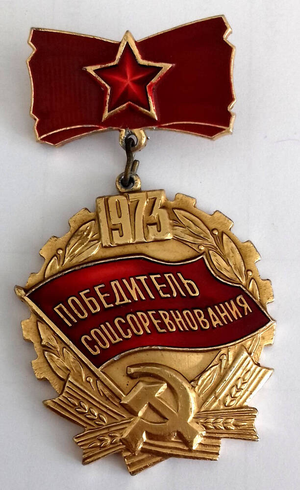 Знак нагрудный «Победитель соцсоревнования 1973» Глушак А. И.