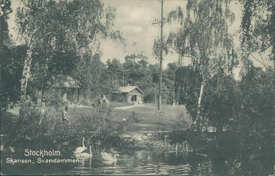 Stockholm. Skansen, Svandammen. [Стокгольм. Скансен (Этнографический музей). Лебединый пруд.].
