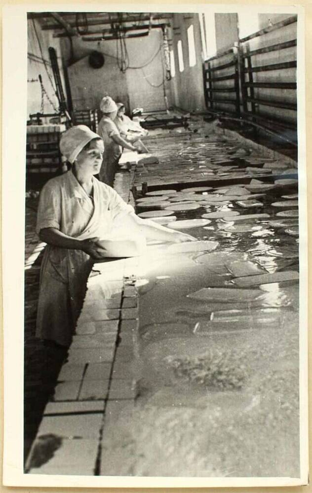 Фото. Сыродельный цех. процесс засолки сыра. Снимок 1970 г.