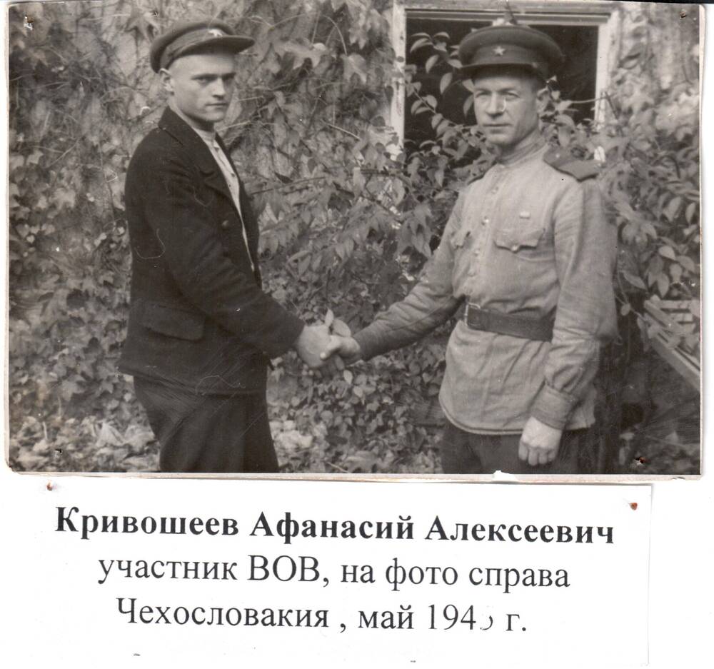 Фотография Кривошеева А.А., май 1945г