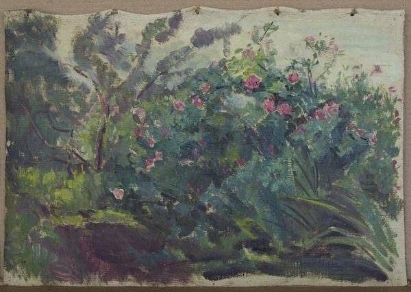  Картина. Бурное цветение шиповника в саду у Майзелей