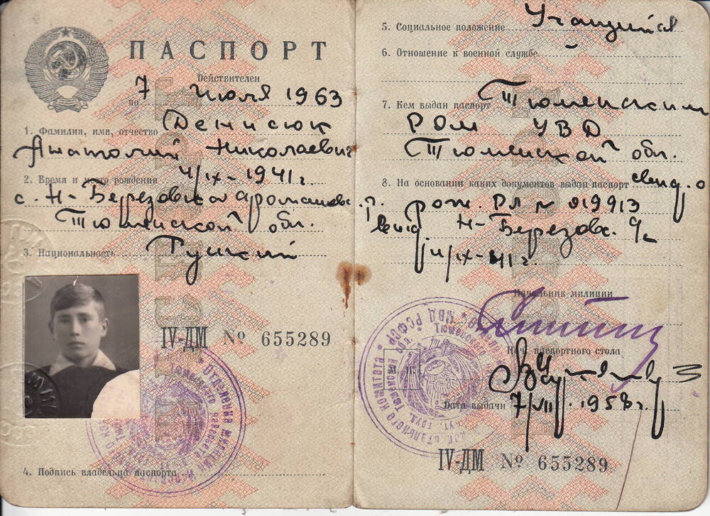 Паспорт IV-ДМ № 655289 Денисюка Анатолия Николаевича