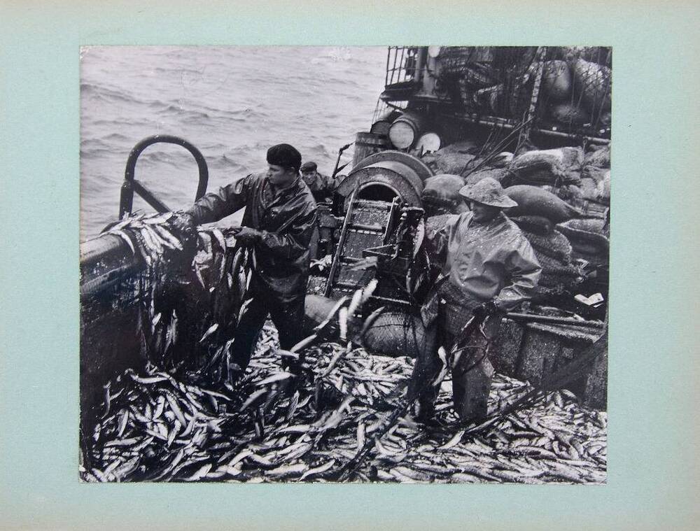 Фотография черно-белая  «На лове сельди» из фотоальбома «Рыбная промышленность Корякского национального округа»