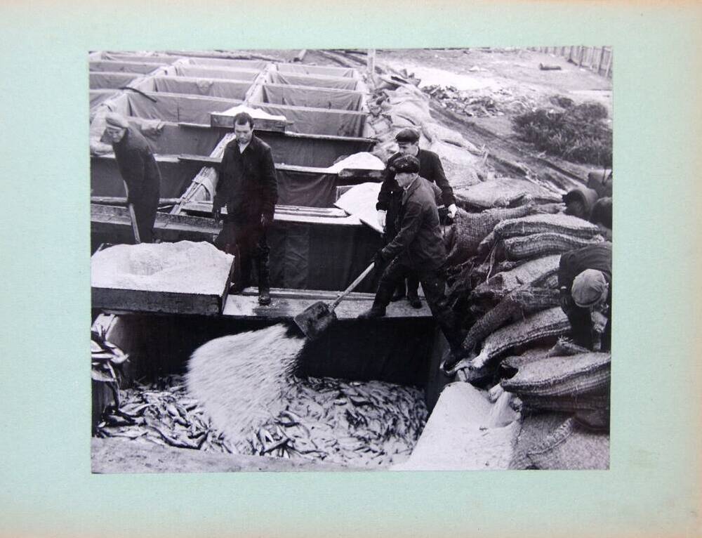 Фотография черно-белая  «Посол жирной сельди» из фотоальбома «Рыбная промышленность Корякского национального округа»