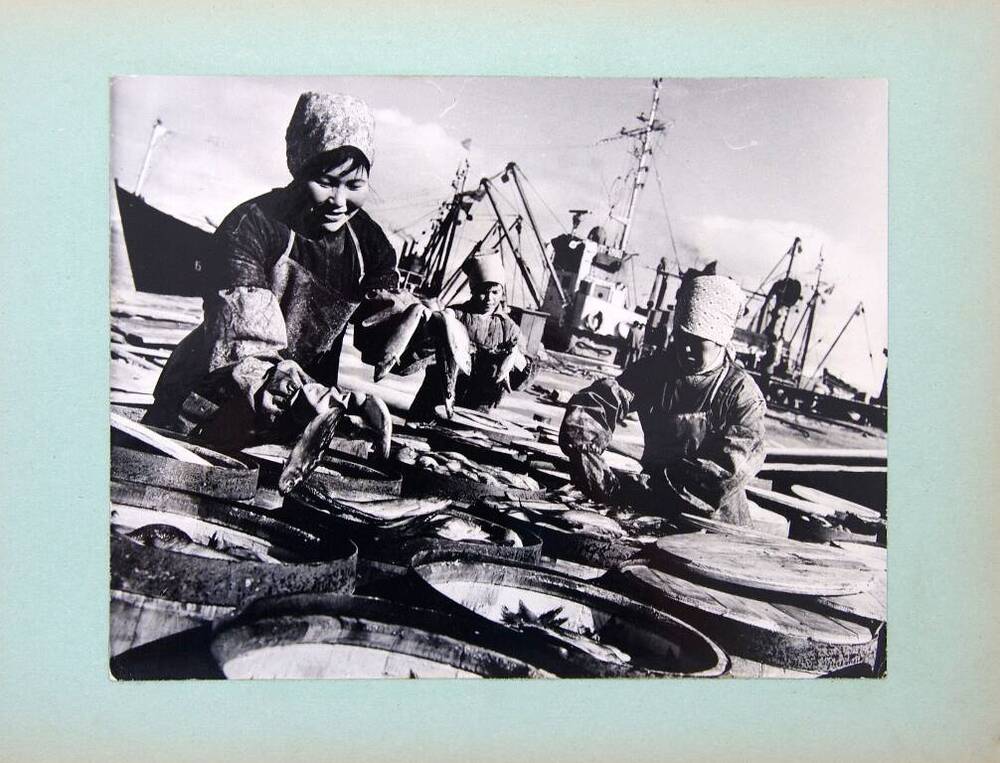 Фотография черно-белая  «Укладка сельди в бочки» из фотоальбома «Рыбная промышленность Корякского национального округа»