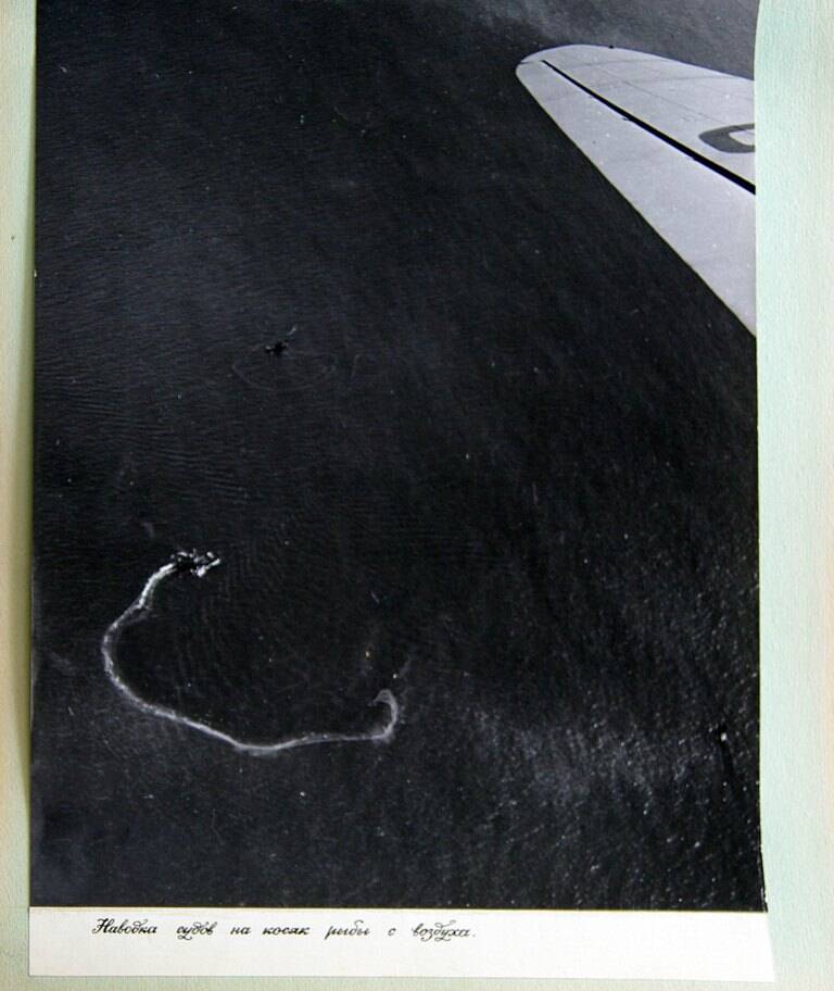 Фотография черно-белая  «Наводка судов на косяк рыбы с воздуха» из фотоальбома «Корякский ордена Трудового Красного Знамени национальный округ»