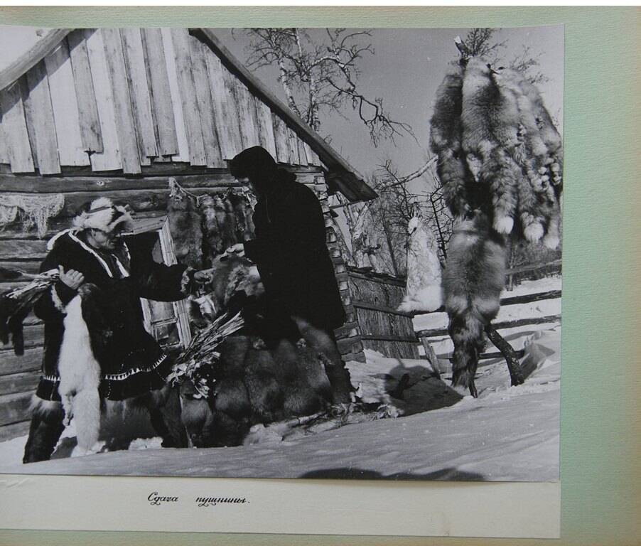 Фотография черно-белая  «Сдача пушнины» из фотоальбома «Корякский ордена Трудового Красного Знамени национальный округ»