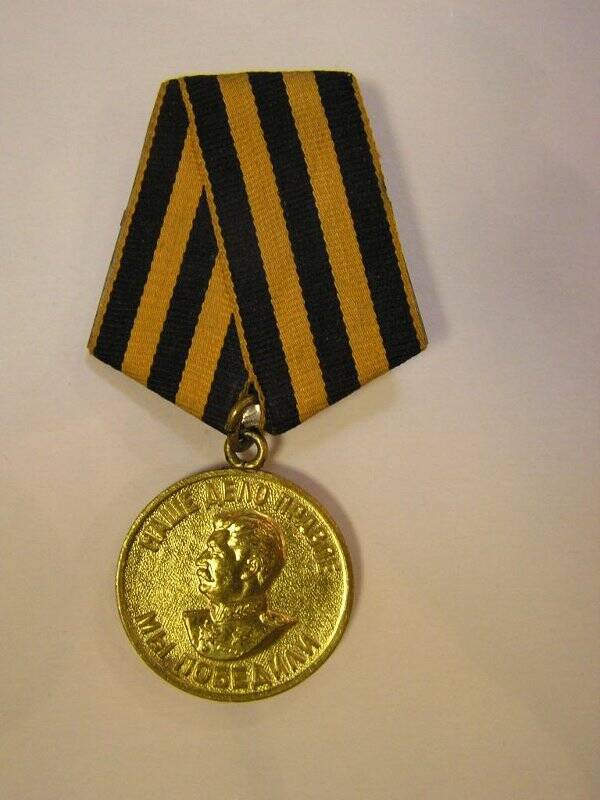 Медаль За победу над Германией К. Жибоедова.