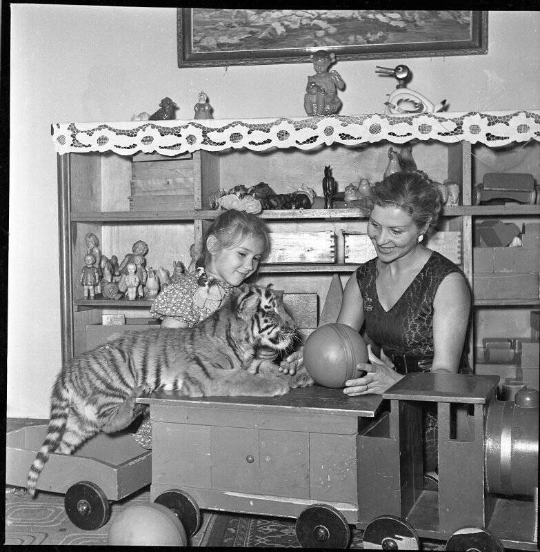 Негатив черно-белый. Советская дрессировщица, артистка цирка Маргарита Назарова с двухмесячным тигренком в детском саду.