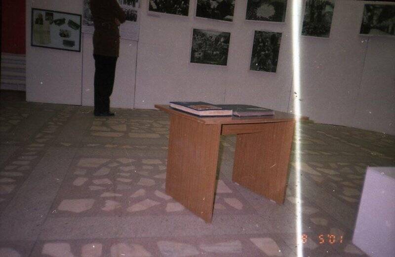 Негативы цветного изображения выставки «Этюды старинного города». Фото Мухаметзяновой Н.М., 2001