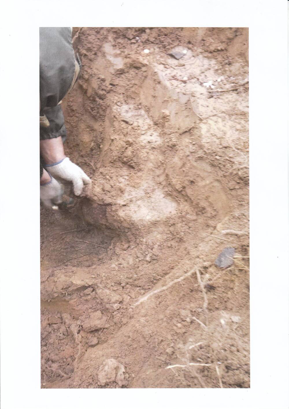Фотография. На фото руки сотрудника,    Международной общественной организации «Вымпел», достающие  из земли предметы