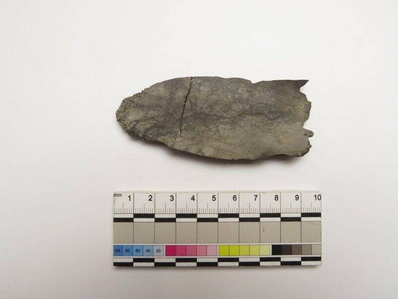 Нож для чистки рыбы. Коллекция из раскопок жертвенного места Усть-Полуй 2007 года