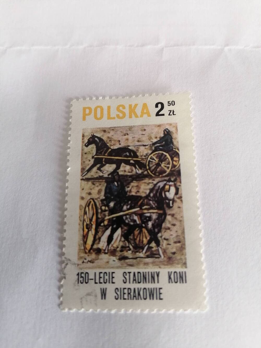 Марка почтовая гашеная, Польша,1980 г, Polska, 150-lecie stadnina koni w sierakowice