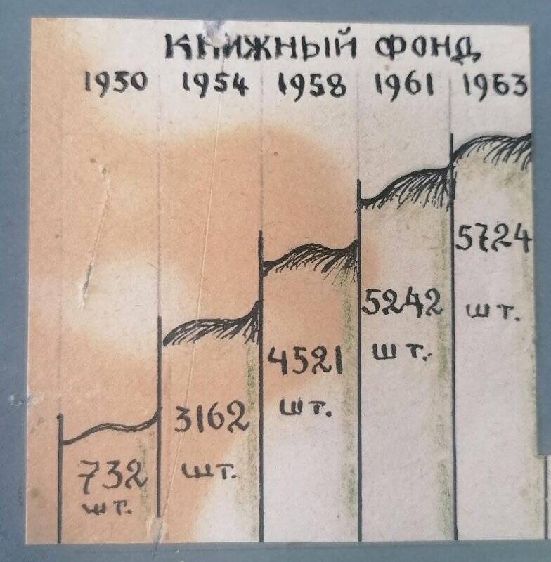 Диаграмма «Книжный фонд» Нижнеабдуловской сельской библиотеки 1950-1963 гг.