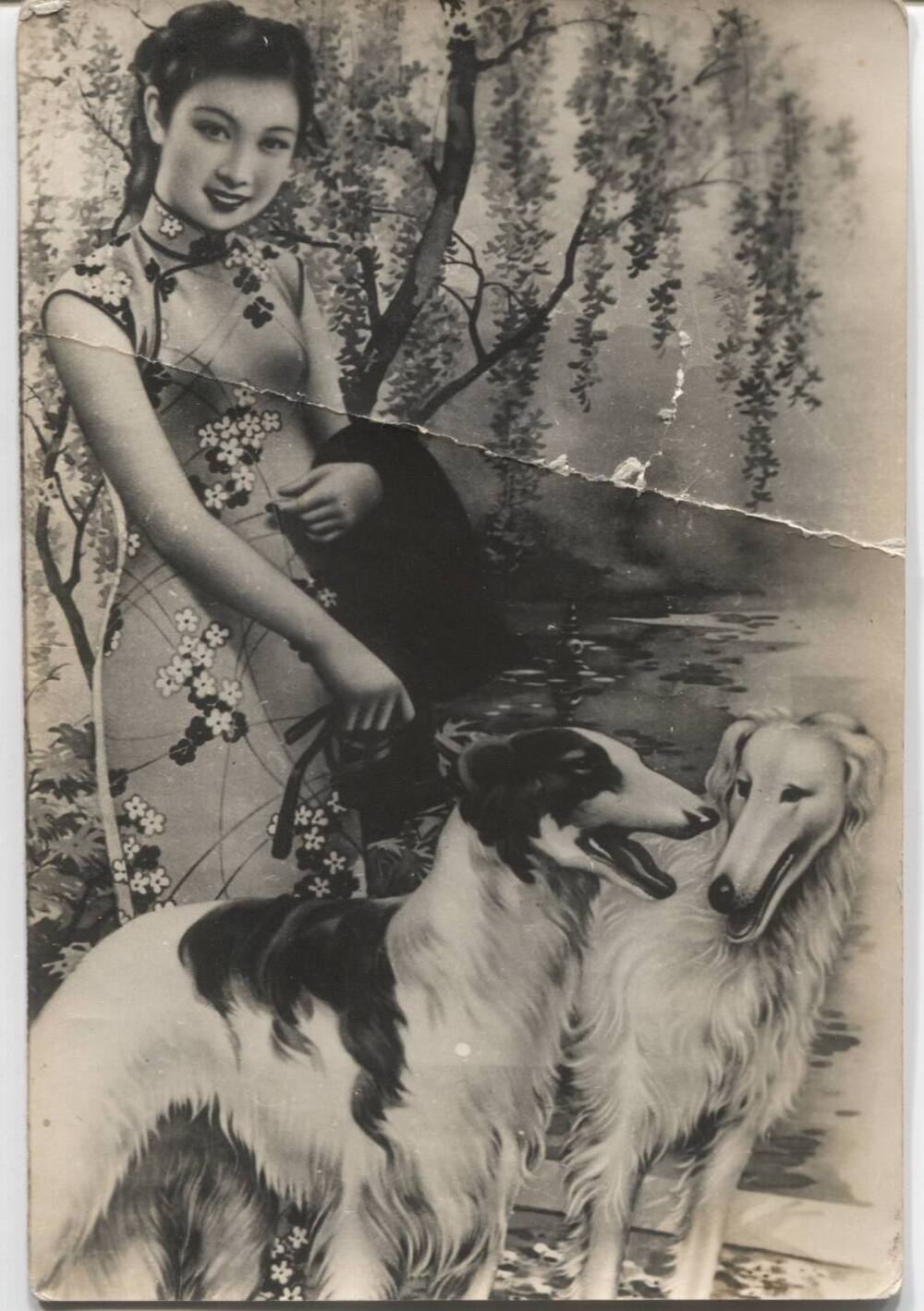 Открытка  с изображением девушки китаянки с двумя борзыми собаками. 1920г.