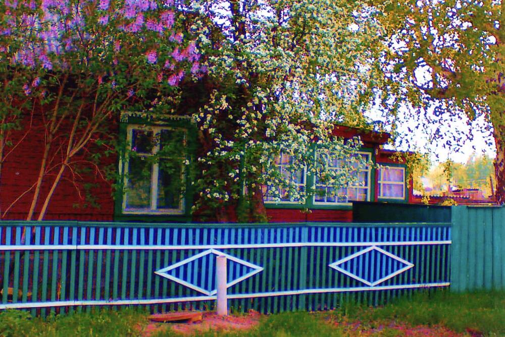 Фотография цв. Дом в ярких лучах цветения
. Автор Украинский А.И.