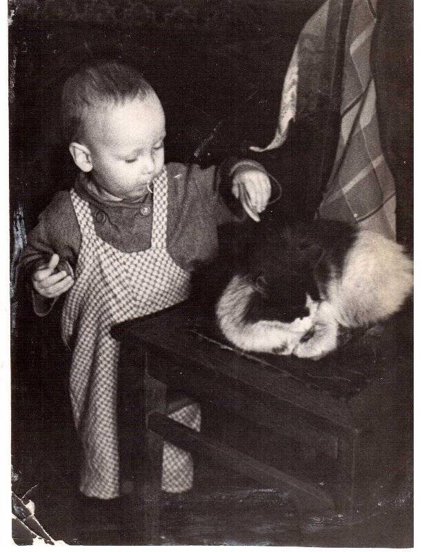 Фотография. Ребенок играет с кошкой