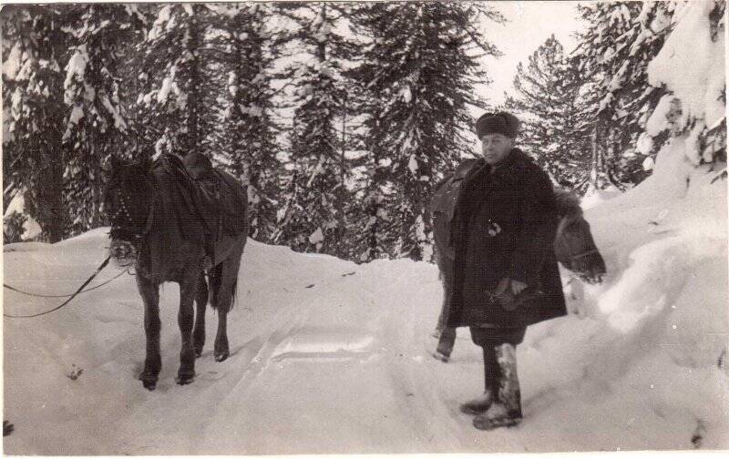 Фотография. Машинцев Владимир Михайлович в лесу зимой около лошадей