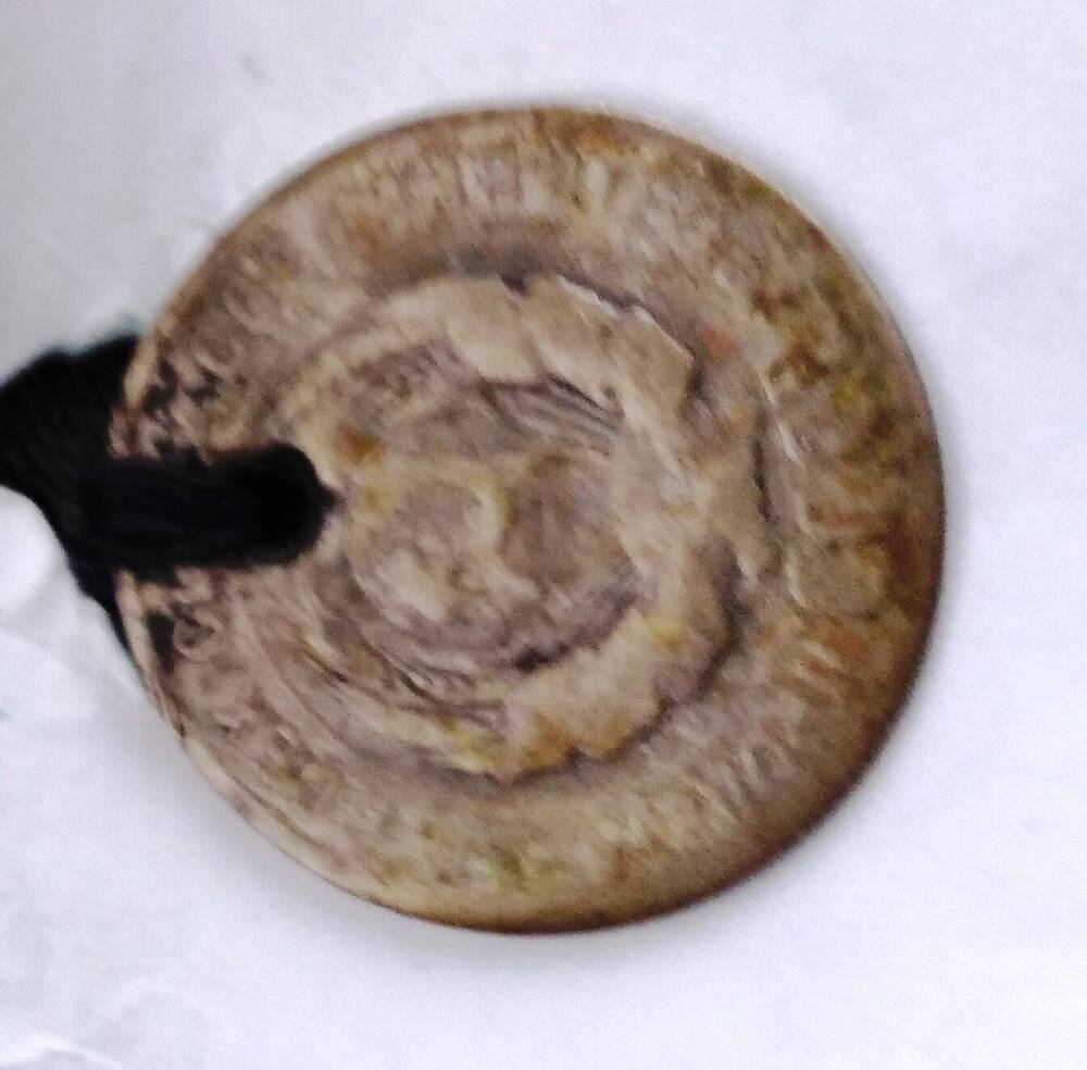 Монета 20  копеек 1929 года(камзол ОФ 1869)