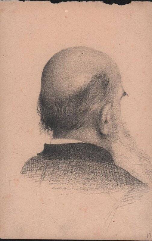Рисунок мужской головы со спины
