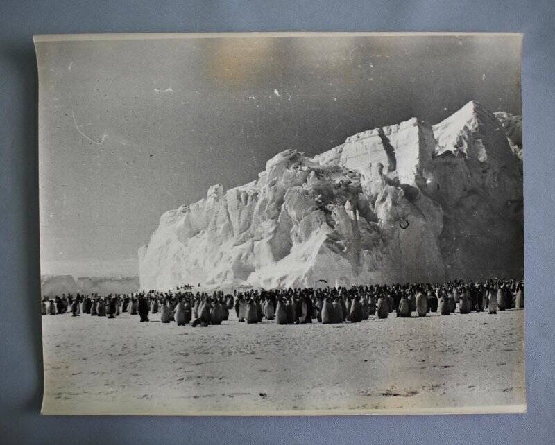 Фото По Антарктиде, выполнены Павлом Максимовичем Хлямовым, полярником, радиоинженером, участником 16,18,20 антарктических экспедиций.